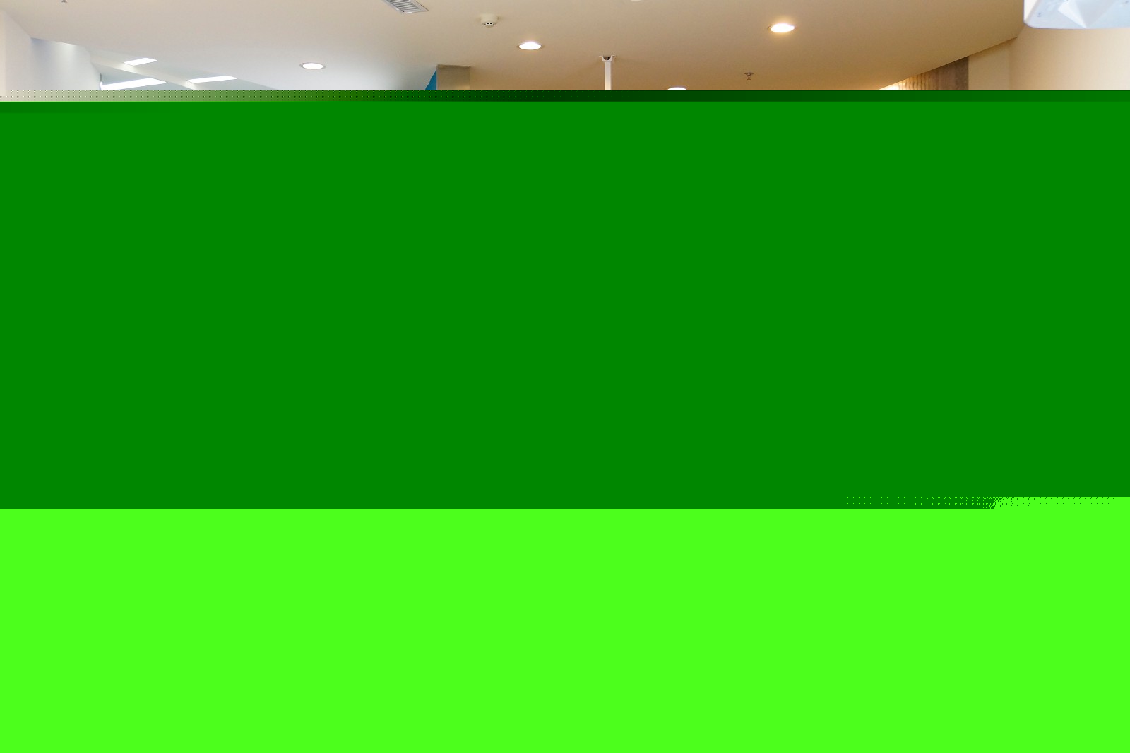 1552528929175801.jpg